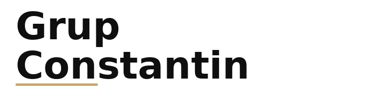 Grup Constantin logo
